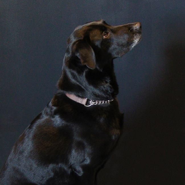 Walter